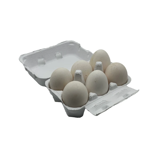 Goose Egg Cartons