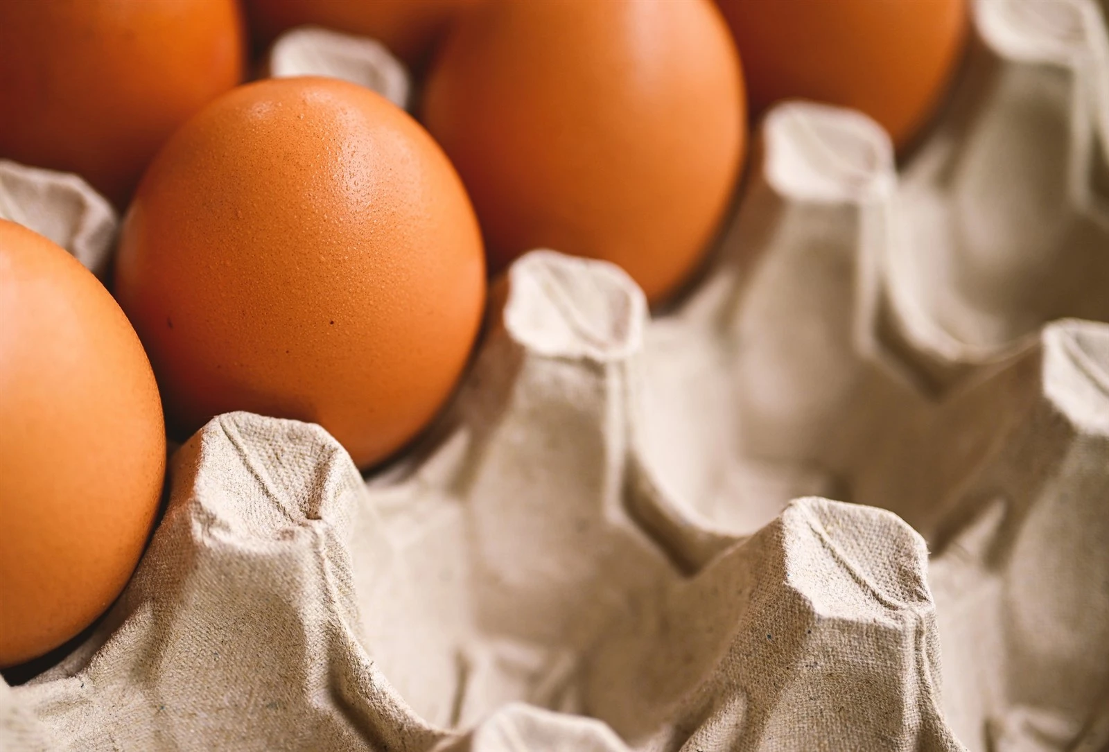 Straw Pulp Egg Cartons Straw Pulp Egg Cartons