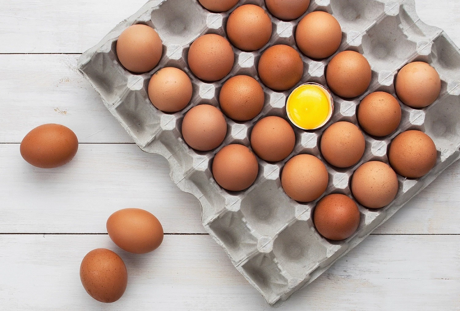 Newspaper Pulp Egg Cartons Newspaper Pulp Egg Cartons